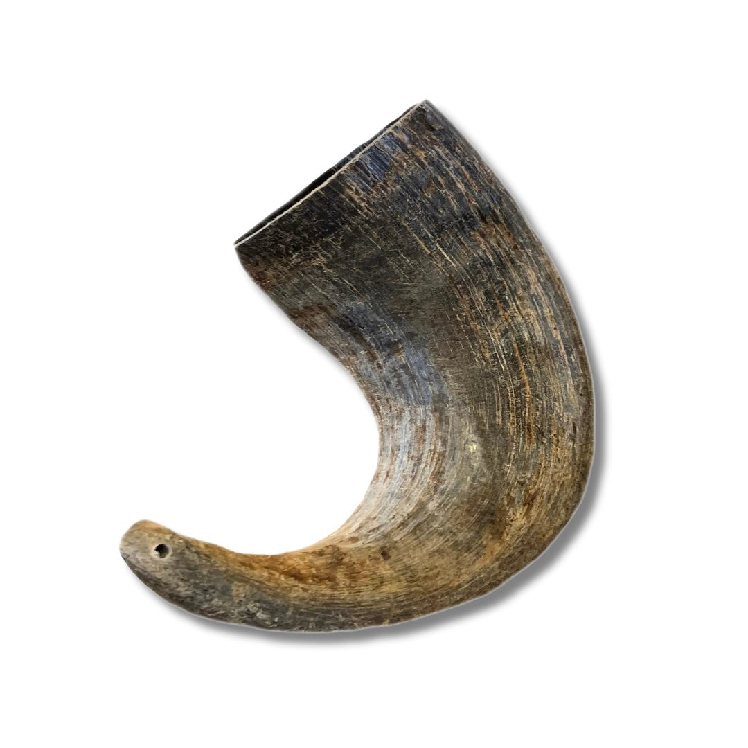 Buffalo Horns