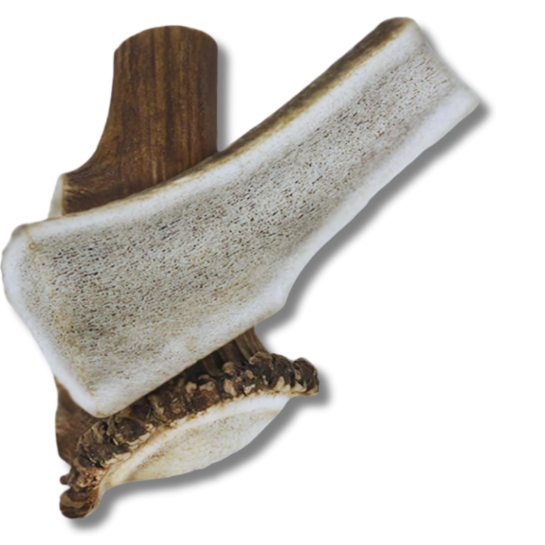 Split-Cut Antler Chews