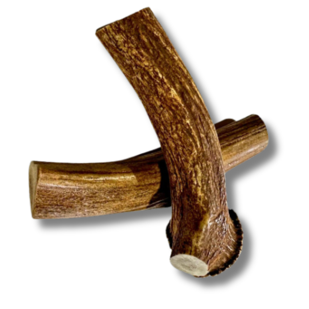 Whole-Cut Antler Chews