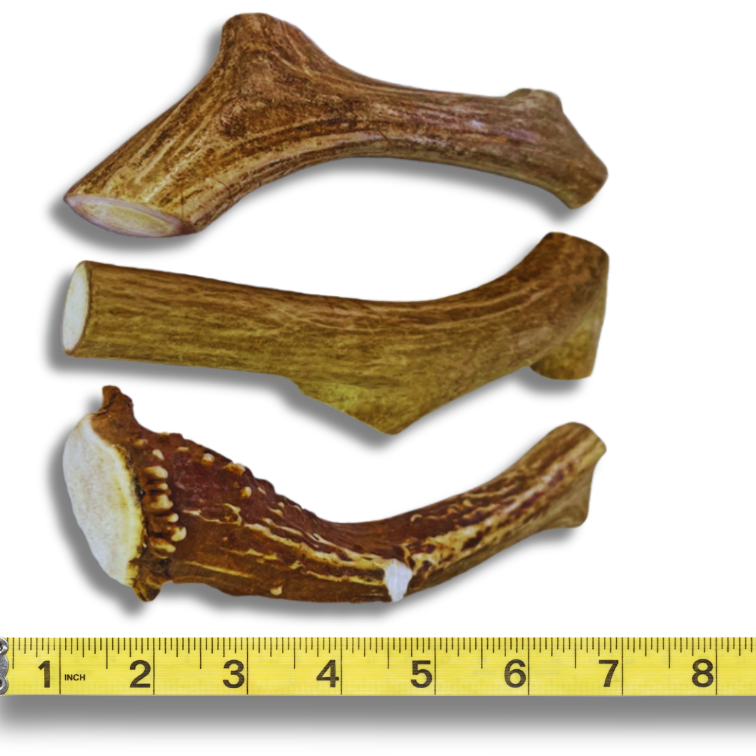 3 Pack - Large | Deer Antler Dog Chews