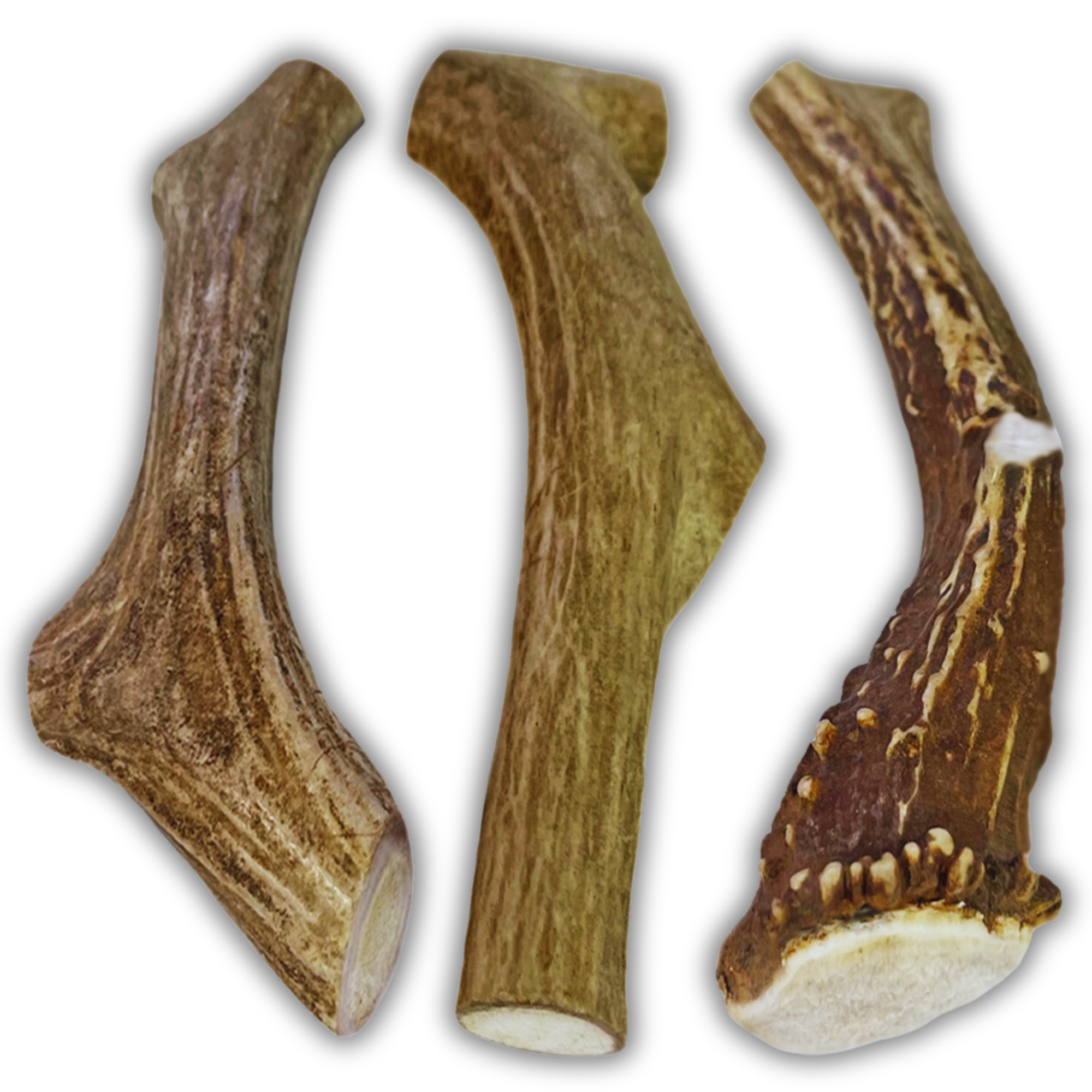 3 Pack - Large | Deer Antler Dog Chews