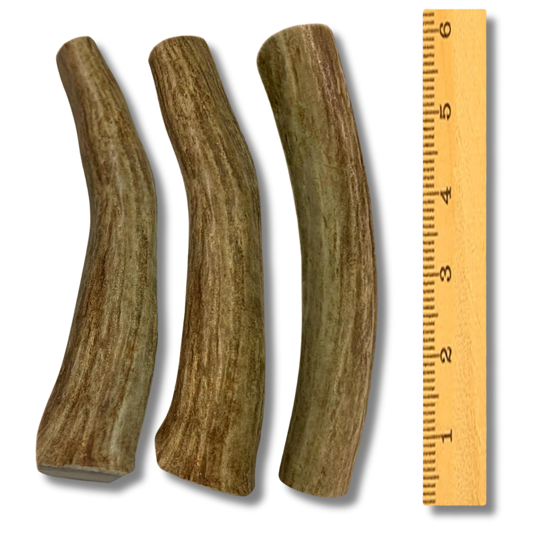 3 Pack - Medium | Deer Antler Dog Chews