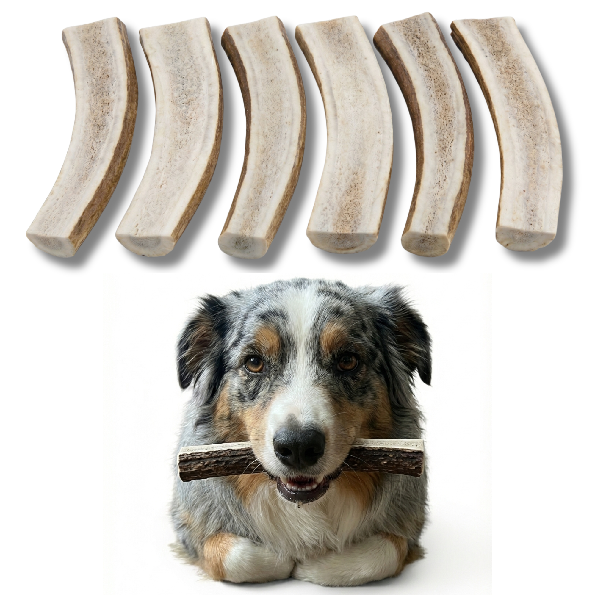 Small | Split Elk Antler Dog Chews - Single or Multipack