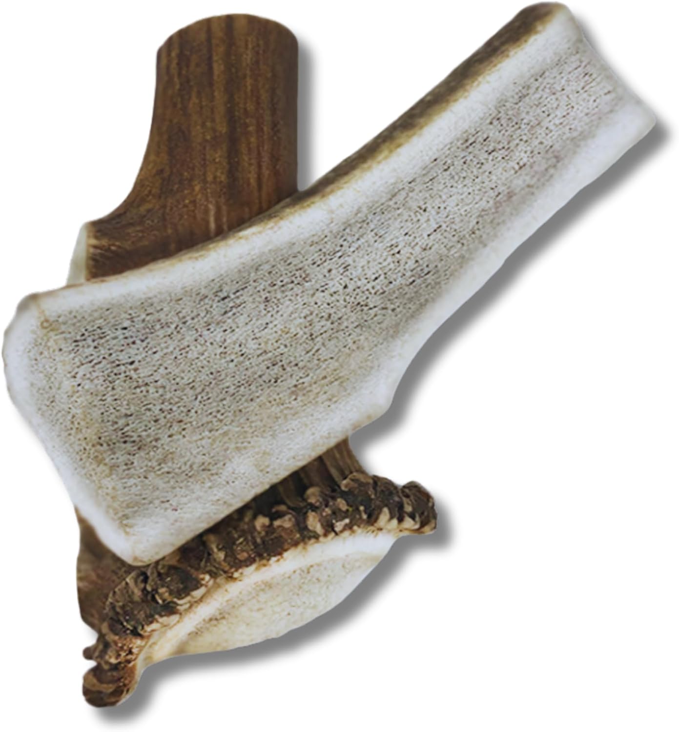 2 Pack - Extra Large - Jumbo | Split Elk Antler Dog Chews