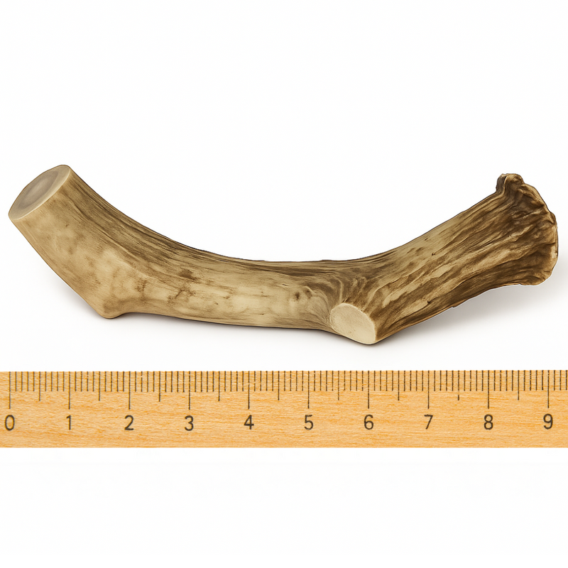 1 Pack- XXL Extra Large - Massive | Deer Antler Dog Chew
