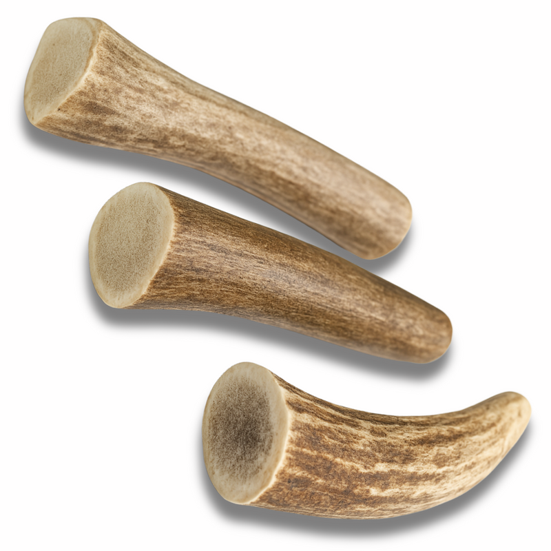3 Pack - Medium | Deer Antler Dog Chews