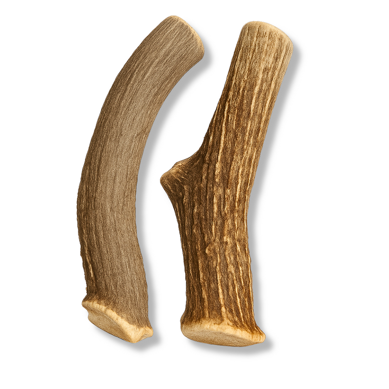 2 Pack - Extra Large | Deer Antler Dog Chews
