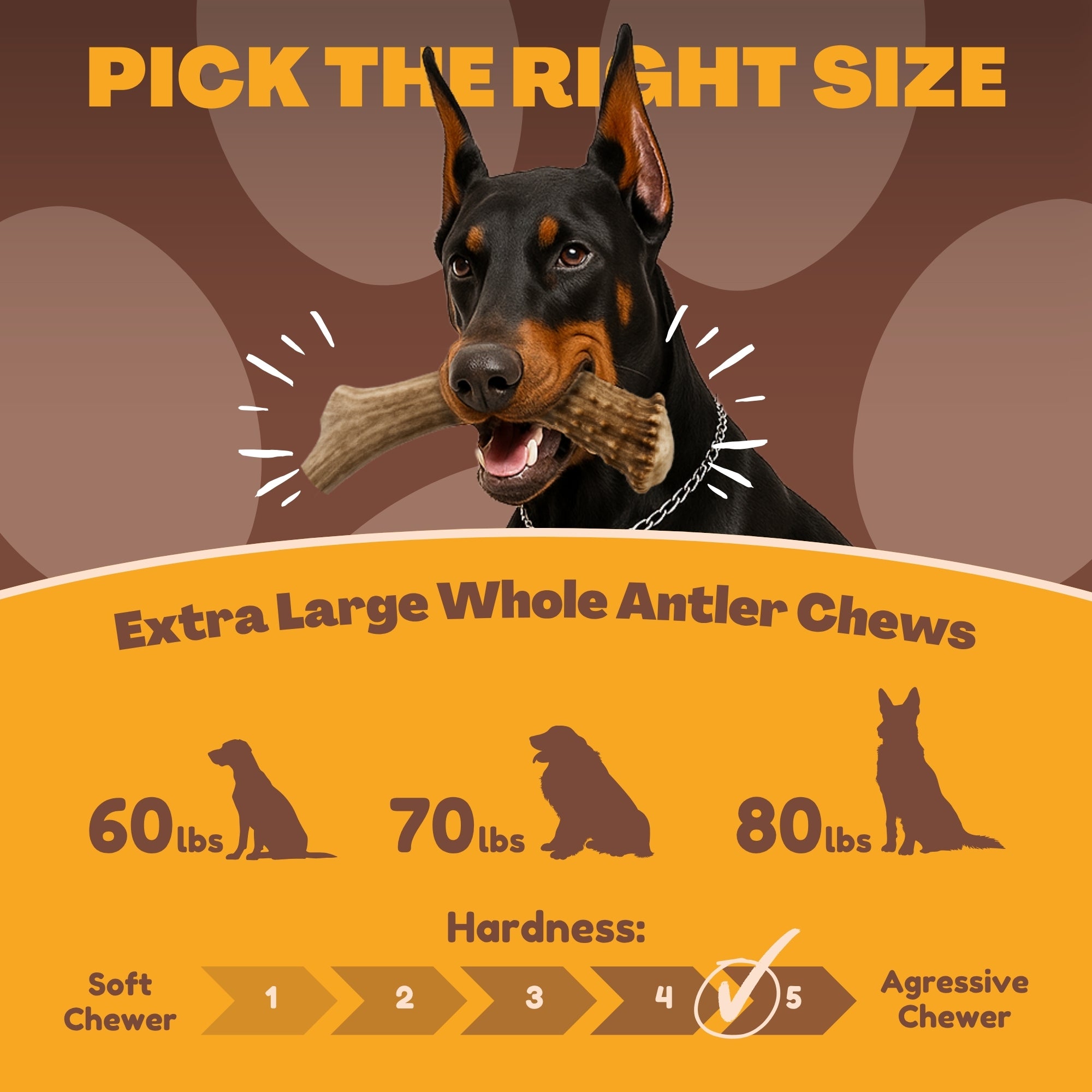1 Pack - Extra Large | Whole Elk Antler Dog Chew