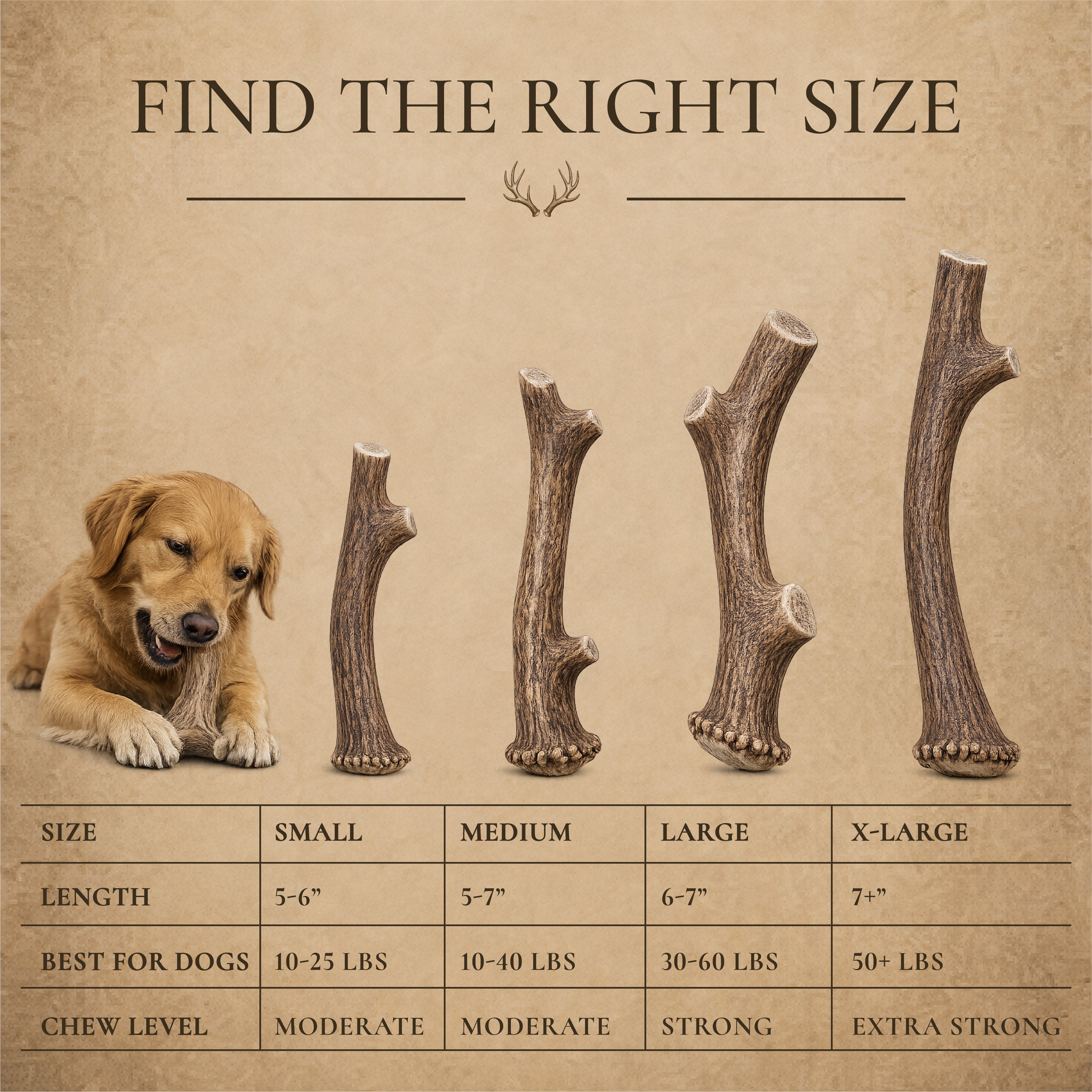 Monster XXL Whole Deer Antler Dog Chew for Large Dogs 50+ lbs