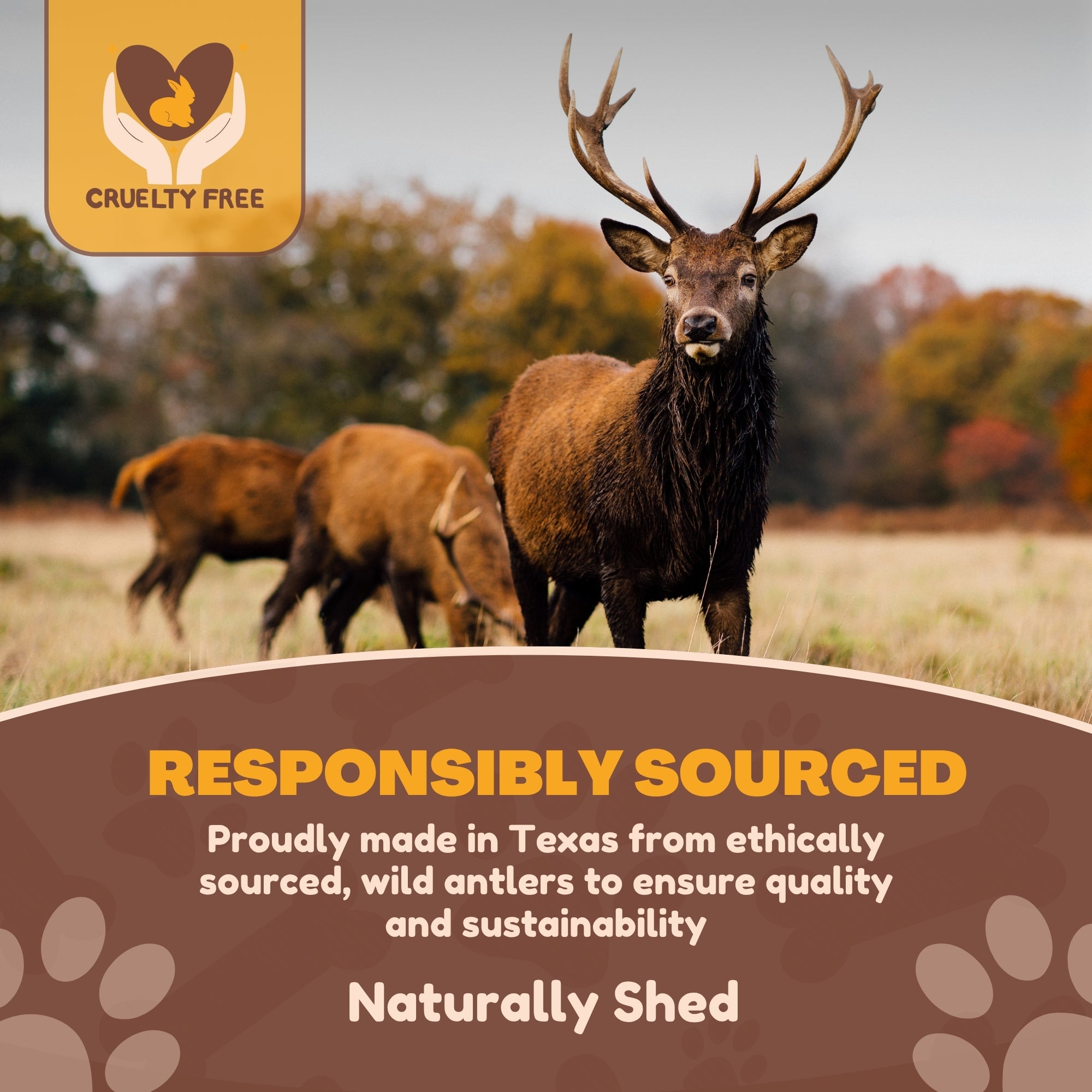 1 Pound Pack Bulk | Premium Deer Antler Chews