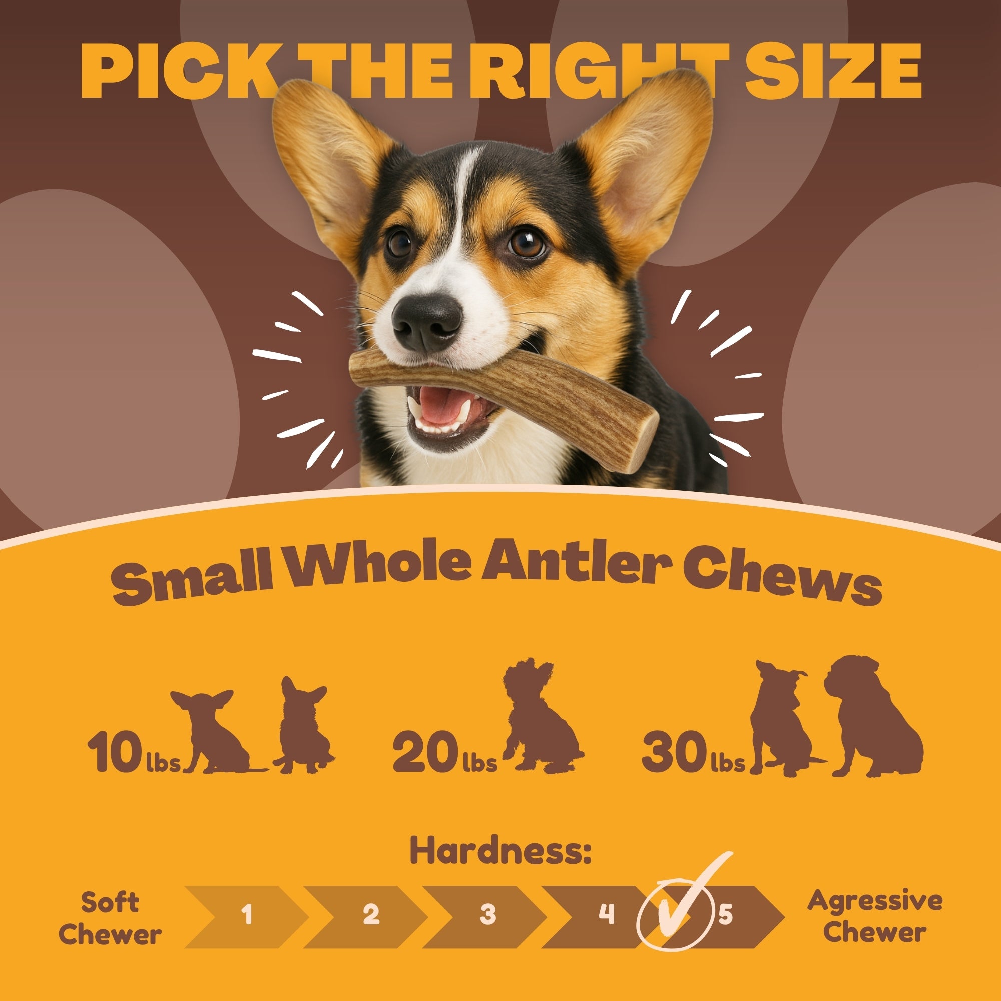 Small to Medium | Whole DEER Antler Dog Chews