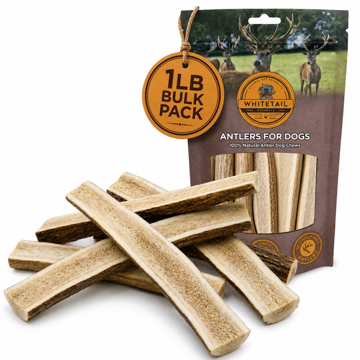 Bulk Split Elk Antler Dog Chews – ½ lb, 1 lb, 2 lb or 3 lb Value Packs