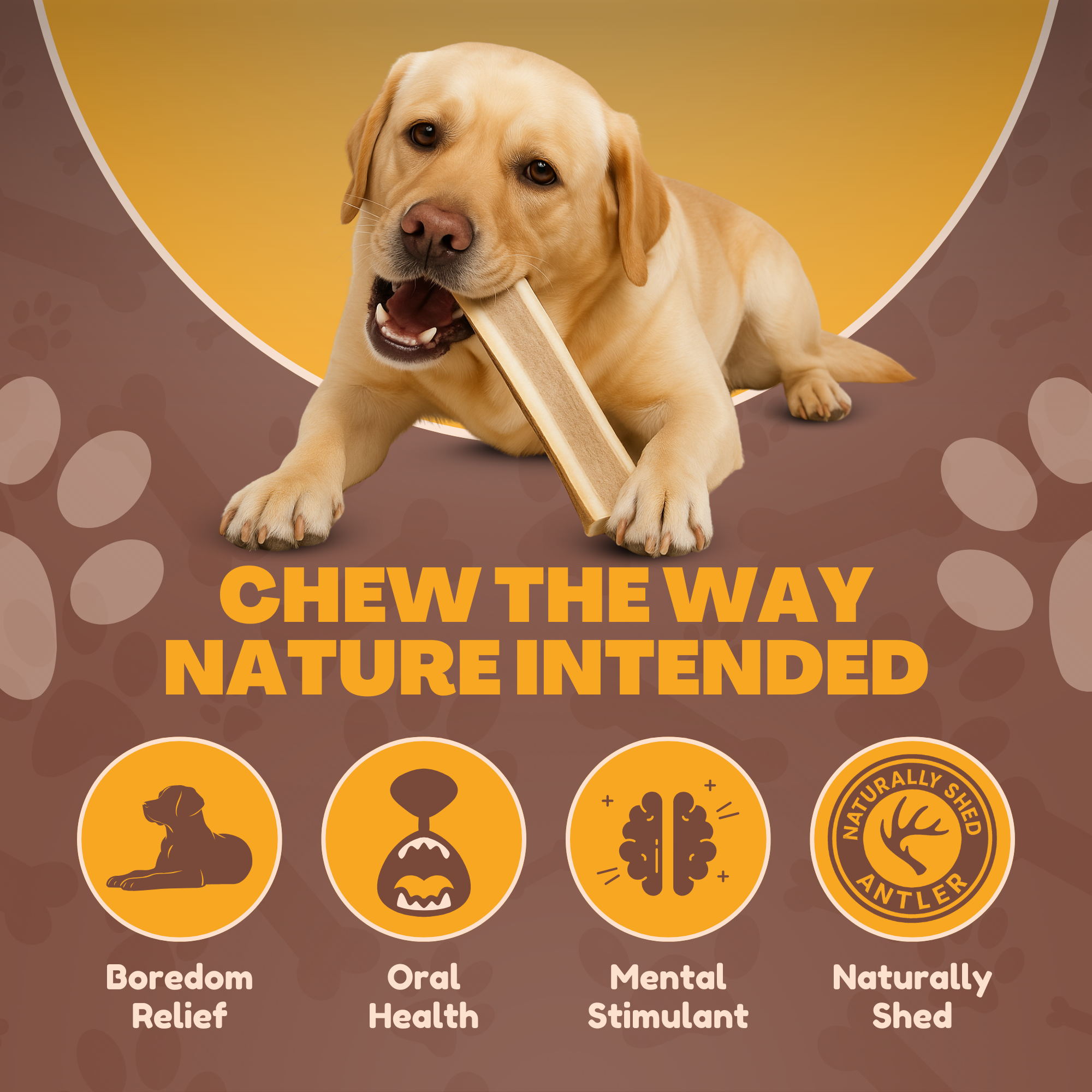 1 Pound Pack Bulk | Premium Split Elk Antler Chews