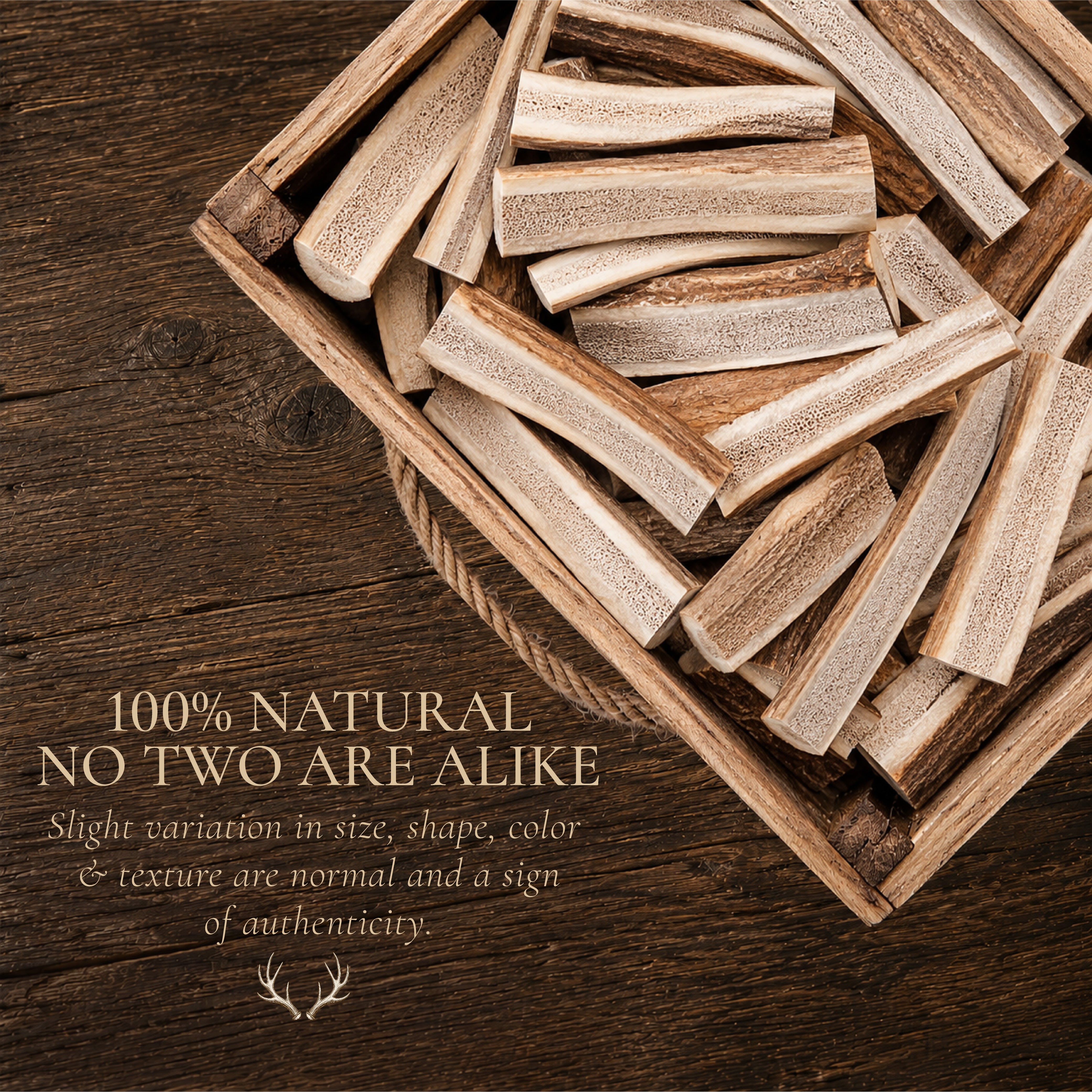 Large Split Elk Antler Dog Chews – 1, 2 or 3 Pack