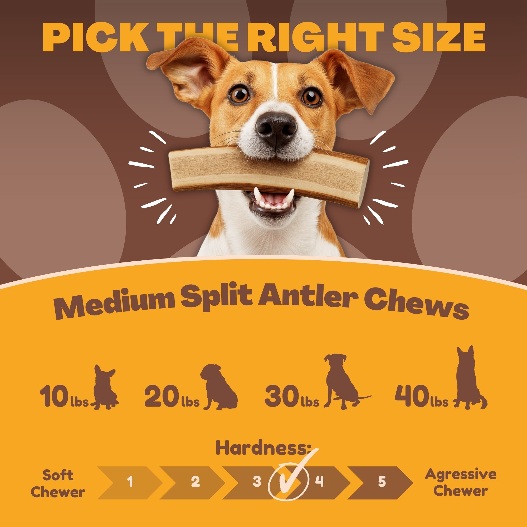 Medium | Split Elk Antler Dog Chews - Single or Multipack