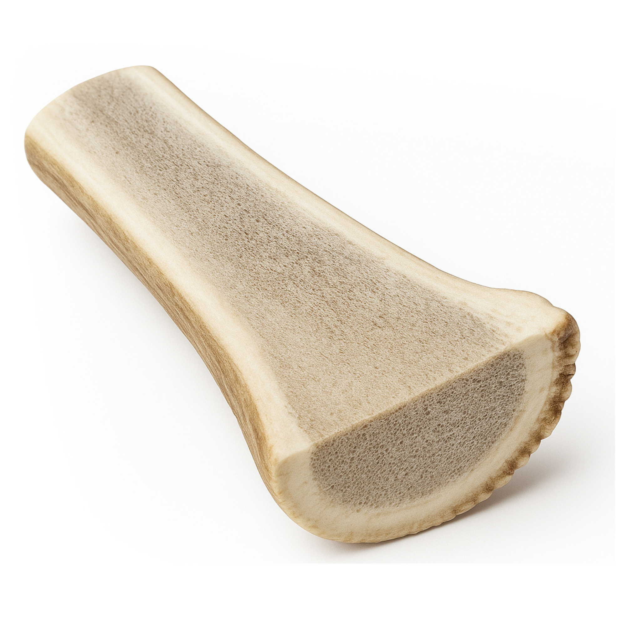 1 Pack - XL Extra Large - Jumbo | Split Elk | Antler Dog Chew