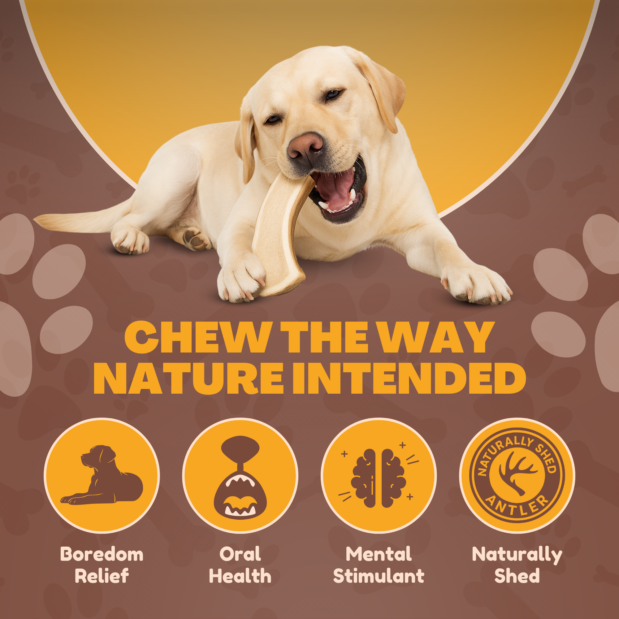 1 Pack - XL Extra Large - Jumbo | Split Elk | Antler Dog Chew