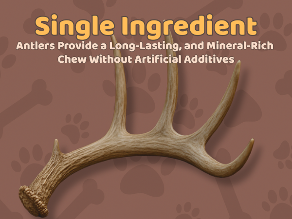 1 Pack - Extra Large | Whole Elk Antler Dog Chew