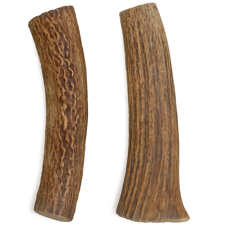 2 Pack - Large | Whole Red Deer Antler Dog Chews