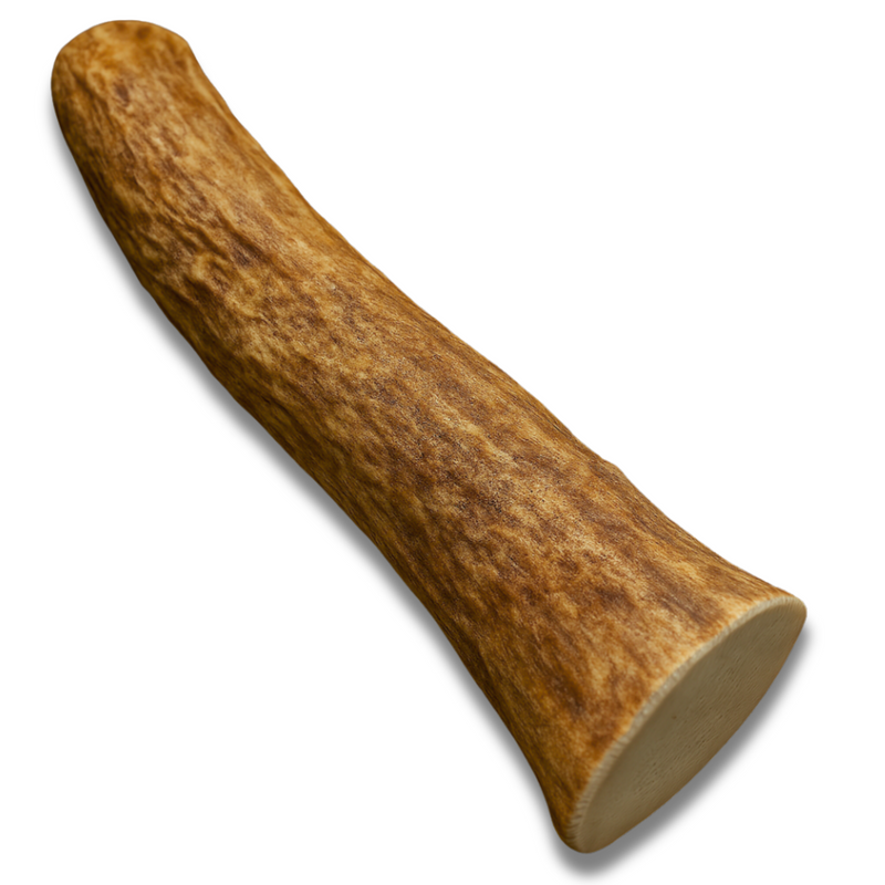 1 Pack - Large | Whole Elk Antler Dog Chew
