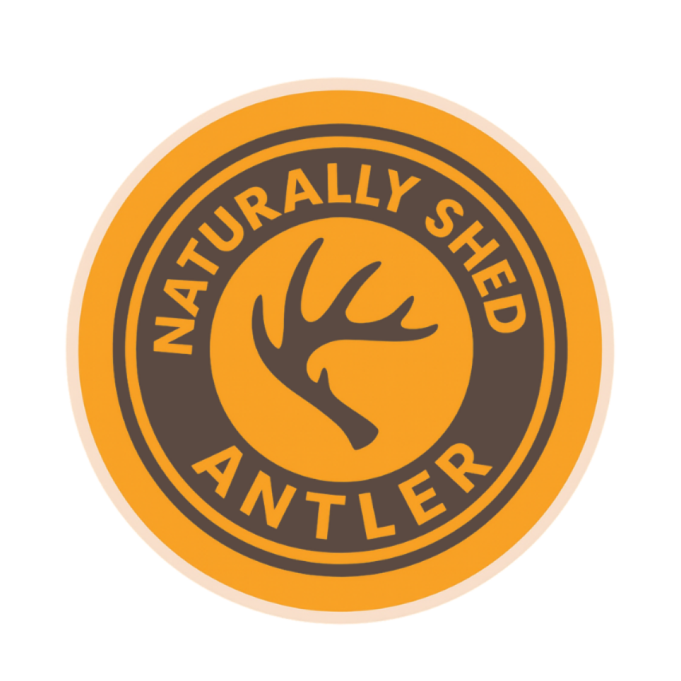 Bulk Pound Packs | Premium Split ELK Antler Chews