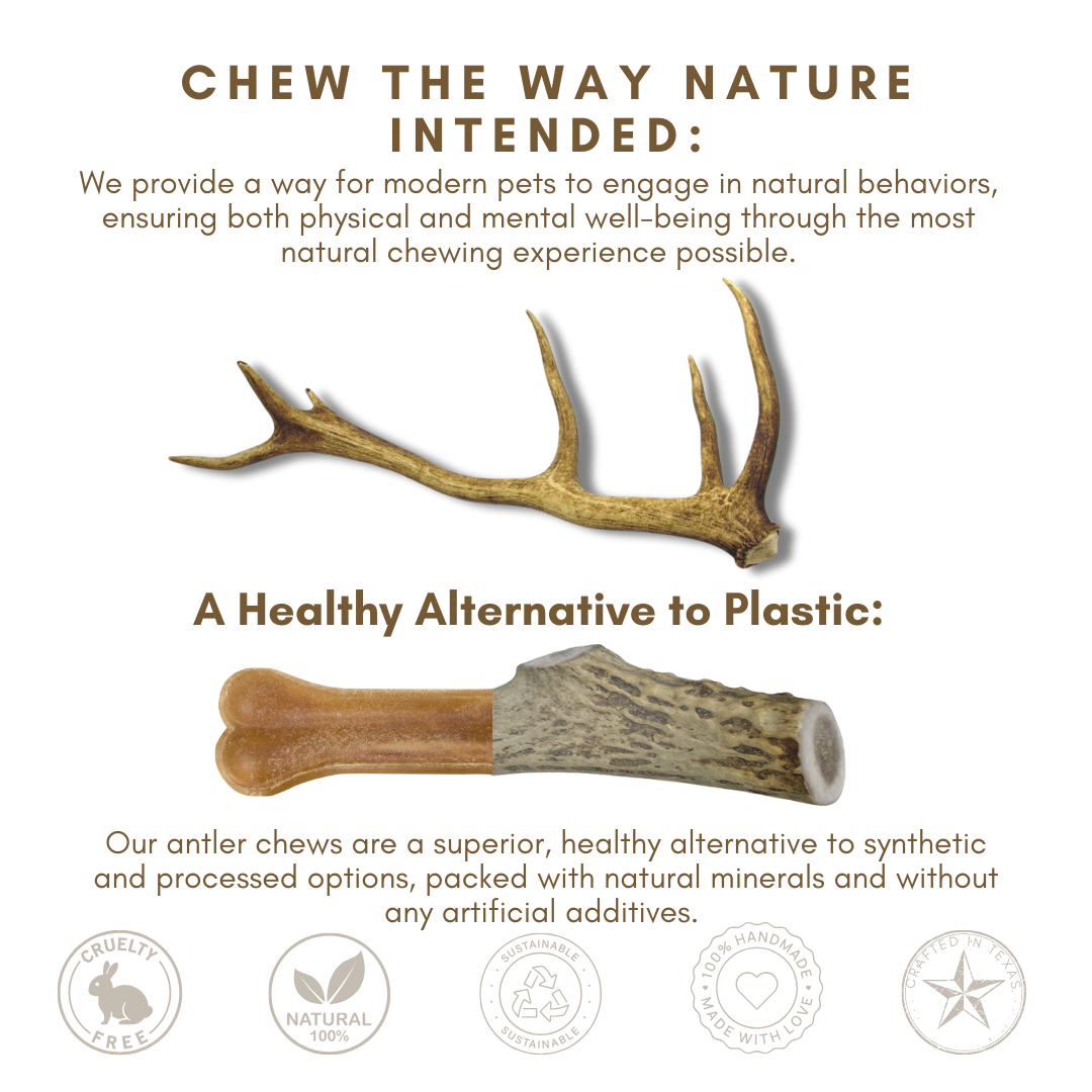 1 Pack - Extra Large | Whole Elk Antler Dog Chew