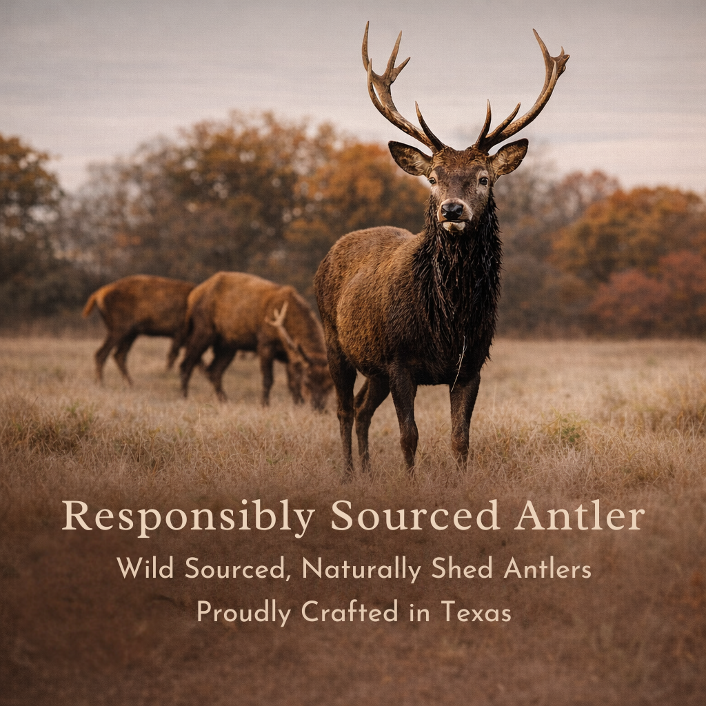 Bulk Split Elk Antler Dog Chews | Marrow Rich Value Packs | Texas Made