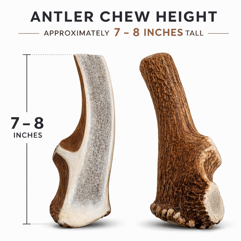 Large | Split Red Stag Antler Dog Chews - Single or Multipack
