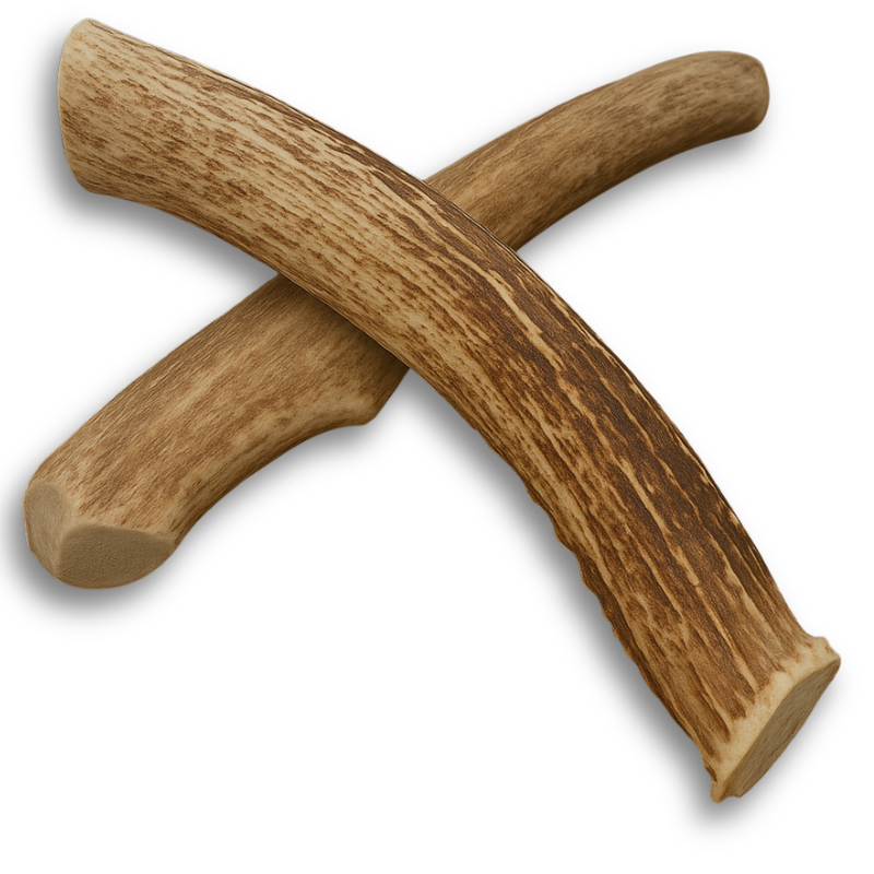 2 Pack - Large | Deer Antler Dog Chew