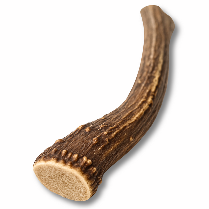 1 Pack - XL Extra Large | Deer Antler Dog Chew