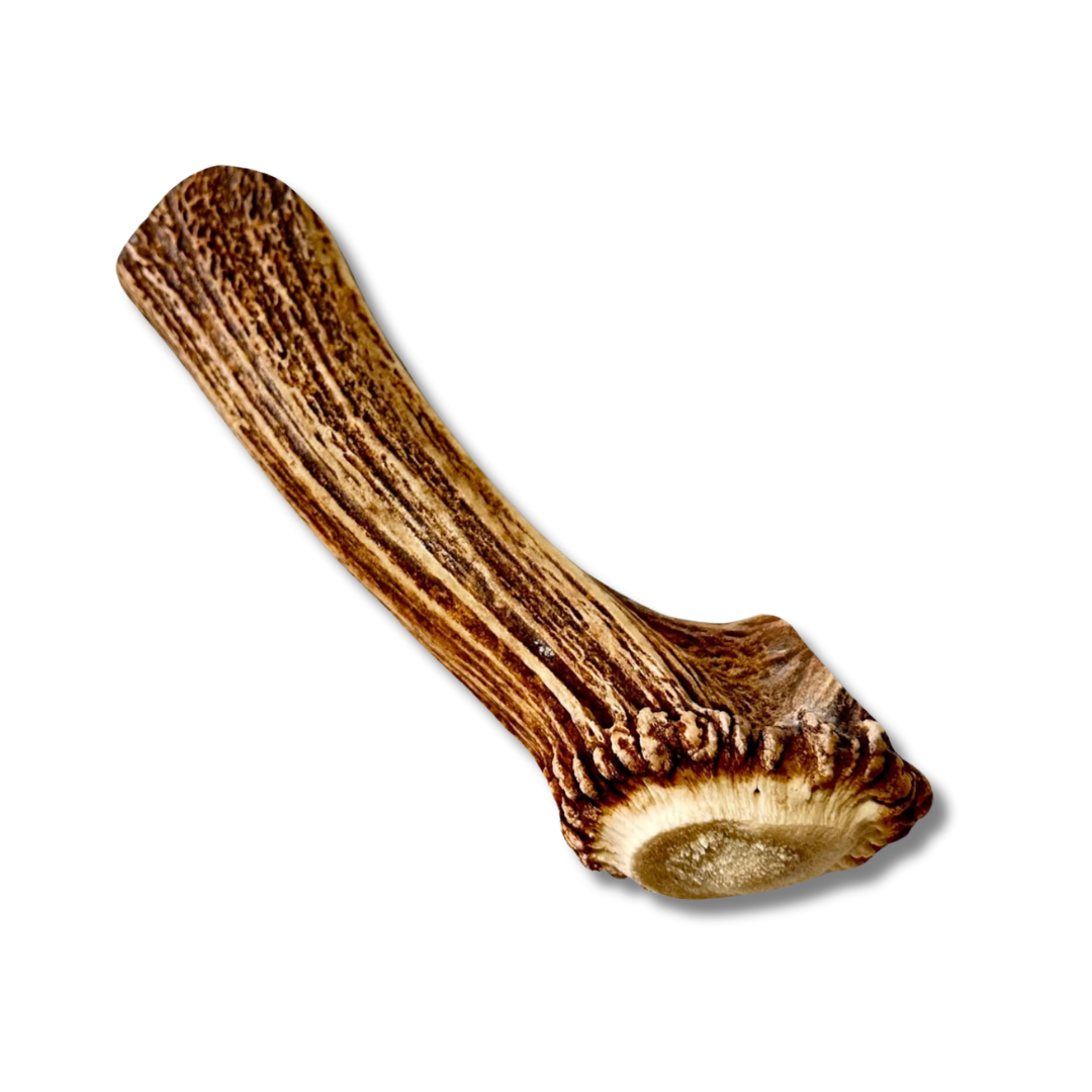 1 Pack - Extra Large | Whole Elk Antler Dog Chew