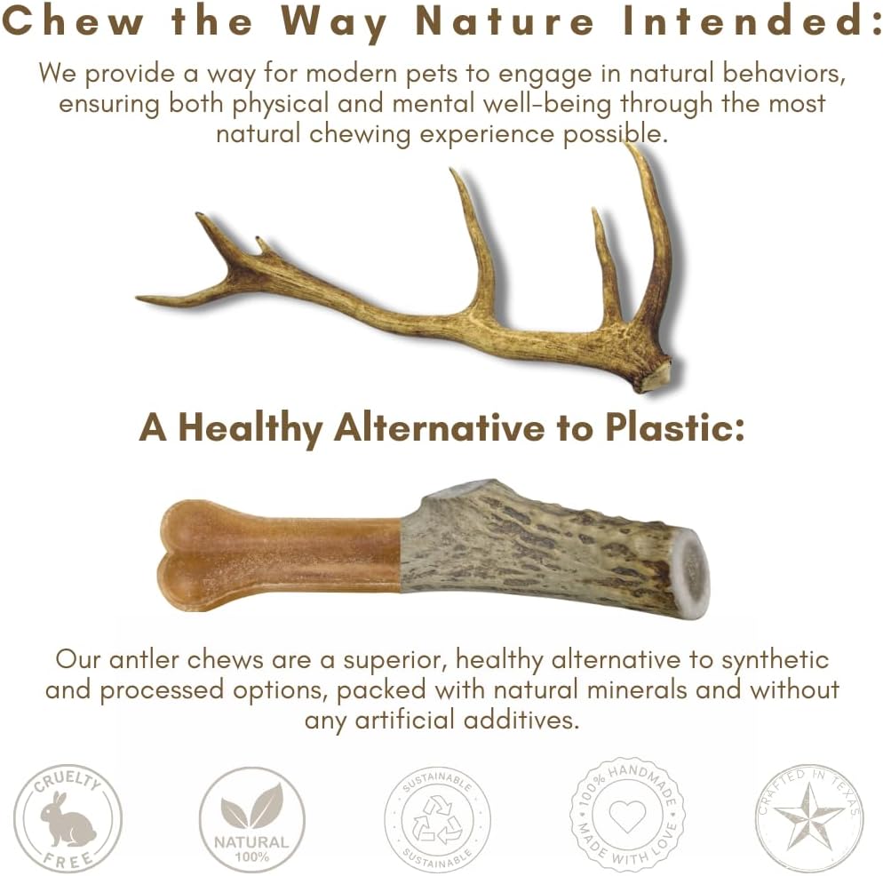 3 Pack - Medium | Deer Antler Dog Chews