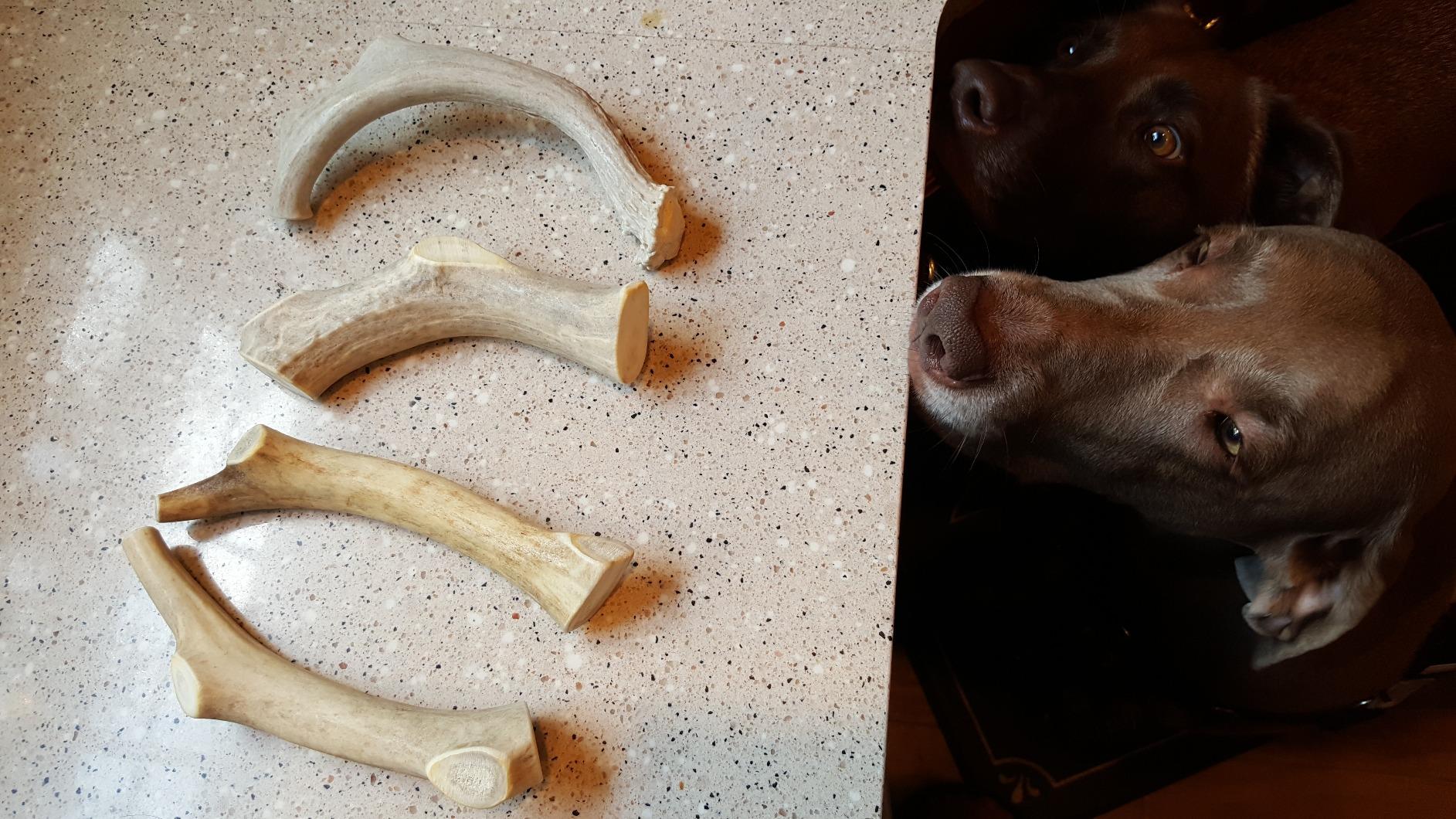 1 Pound Pack Bulk | Premium Deer Antler Chews