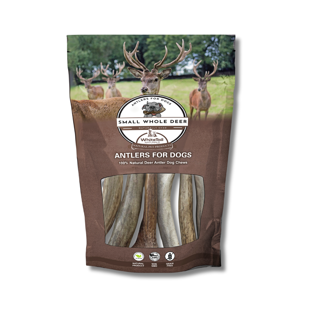 6 Pack - Small | Deer Antler Dog Chews