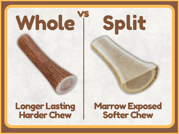 1 Pack - Extra Large | Whole Elk Antler Dog Chew