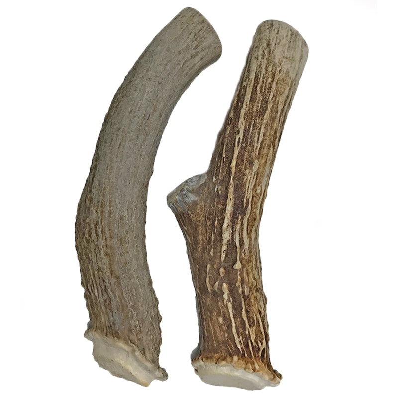 2 Pack - Extra Large | Deer Antler Dog Chews