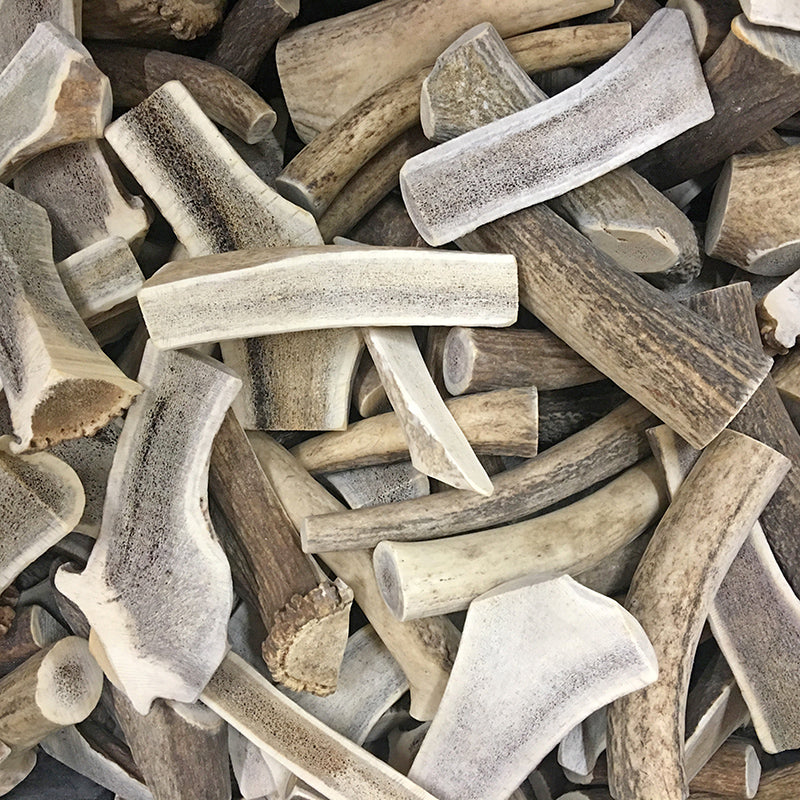 1 Pound Pack Bulk| Premium Elk Antlers Whole/ Split Mix