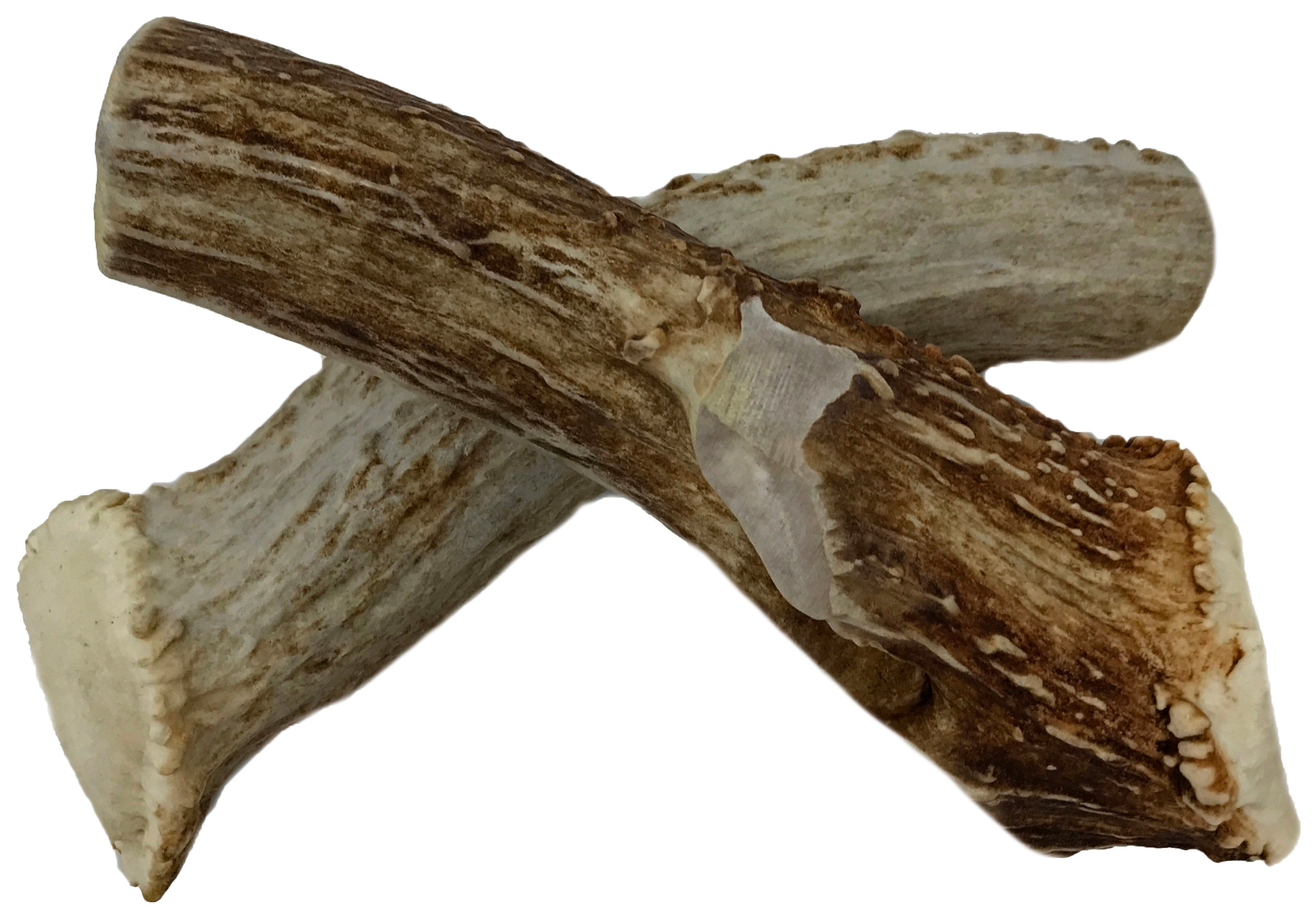 2 Pack - Jumbo - XXL | Deer Antler Dog Chew - 2XL