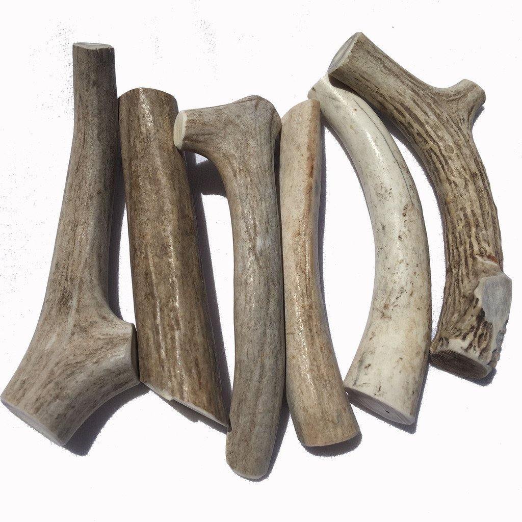 6 Pack | Medium Deer Antler Dog Chews - WhiteTail Naturals