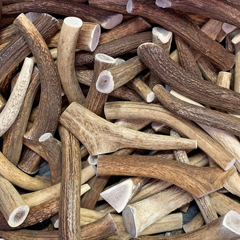 1 Pound Pack | Premium Whole Elk Antler Chews